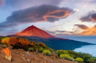 Какой самый лучший Канарский остров?