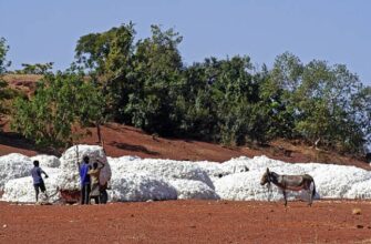 Буркина Фасо самый большой производитель хлопка в Африке