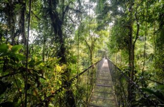 Суринам нетрунутые леса и красивые озера